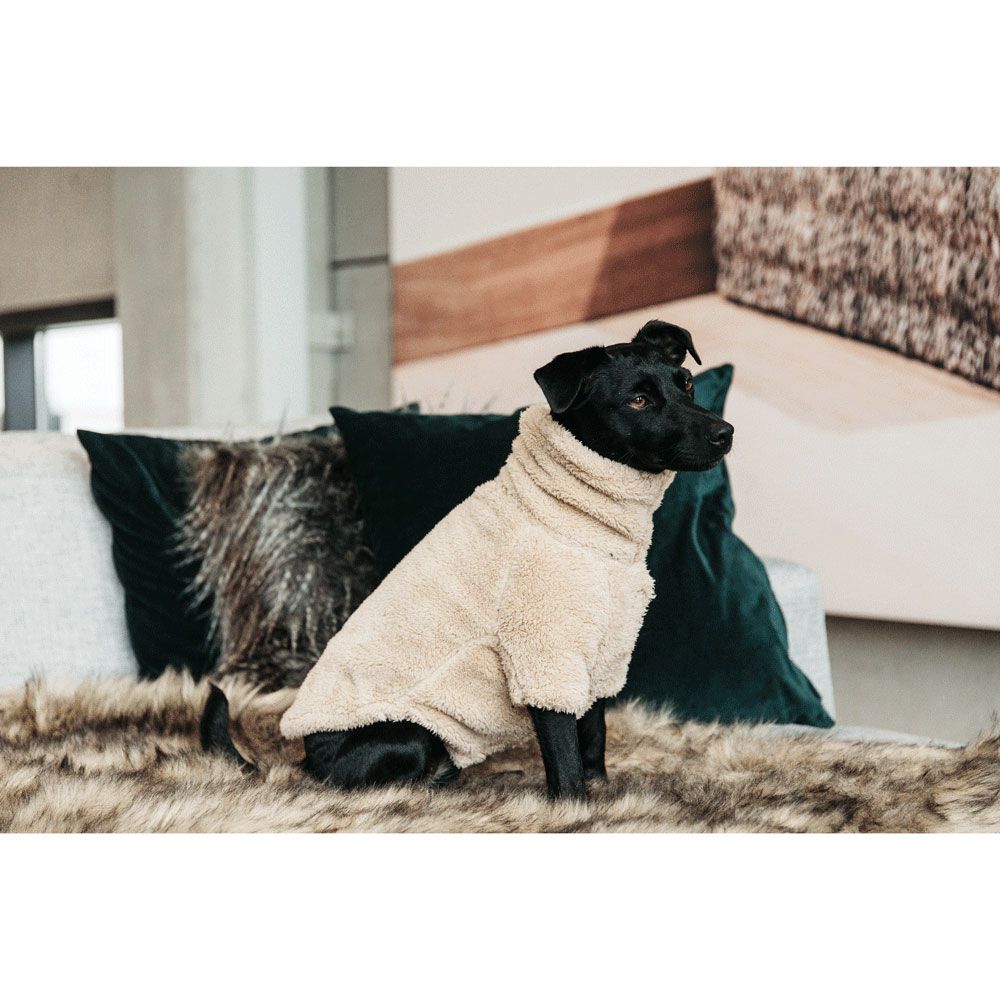 Kentucky - Dog Sweater Teddy Fleece - 52156